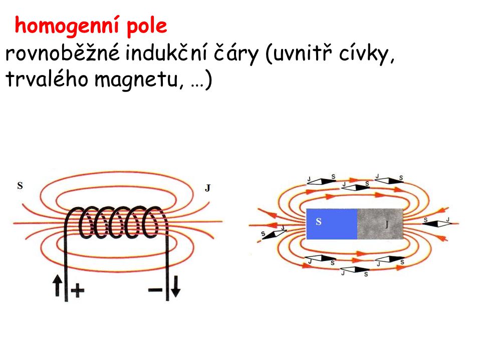 homogenní pole rovnoběžné indukční čáry (uvnitř cívky, trvalého magnetu, …)