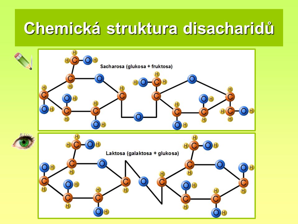 Chemická struktura disacharidů