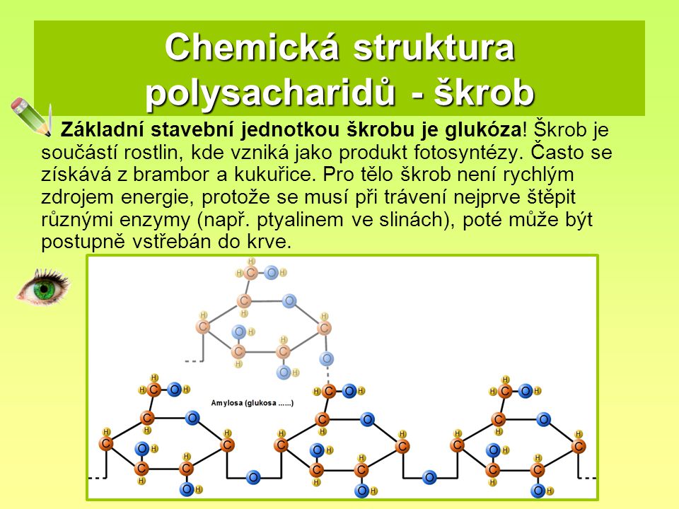 Chemická struktura polysacharidů - škrob
