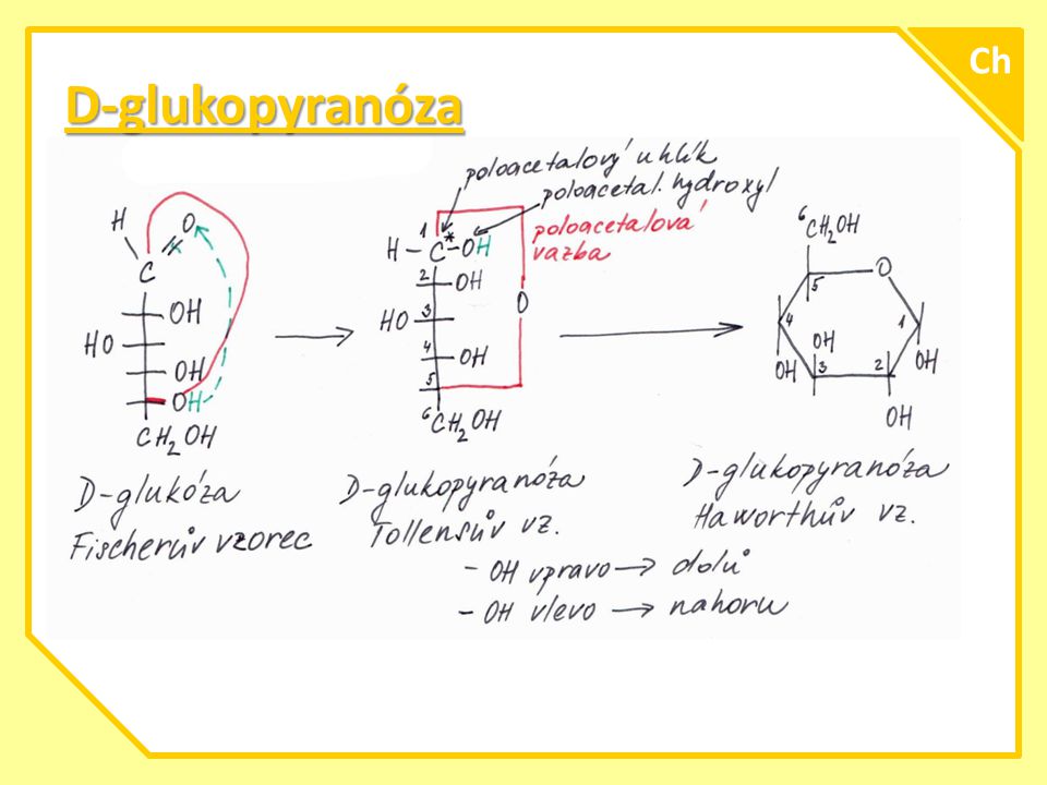 Ch D-glukopyranóza A
