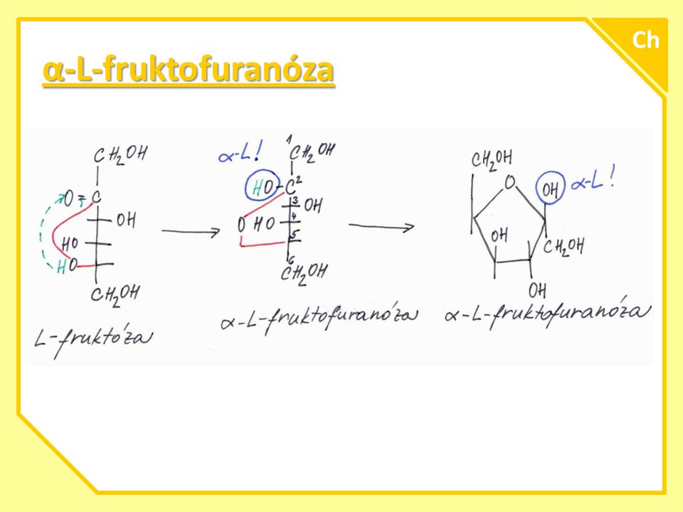 Ch α-L-fruktofuranóza A
