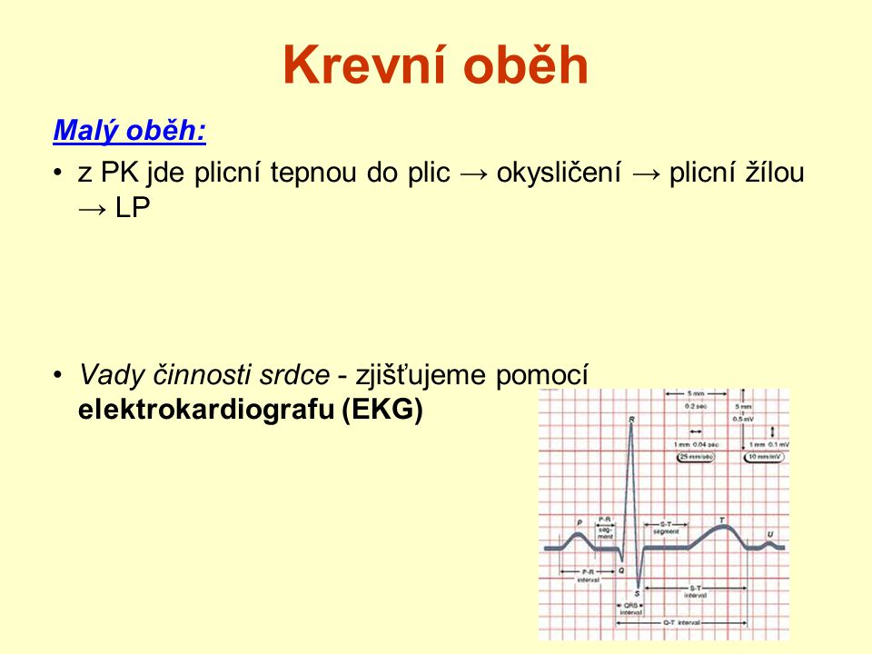 Krevní oběh Malý oběh: z PK jde plicní tepnou do plic → okysličení → plicní žílou → LP.
