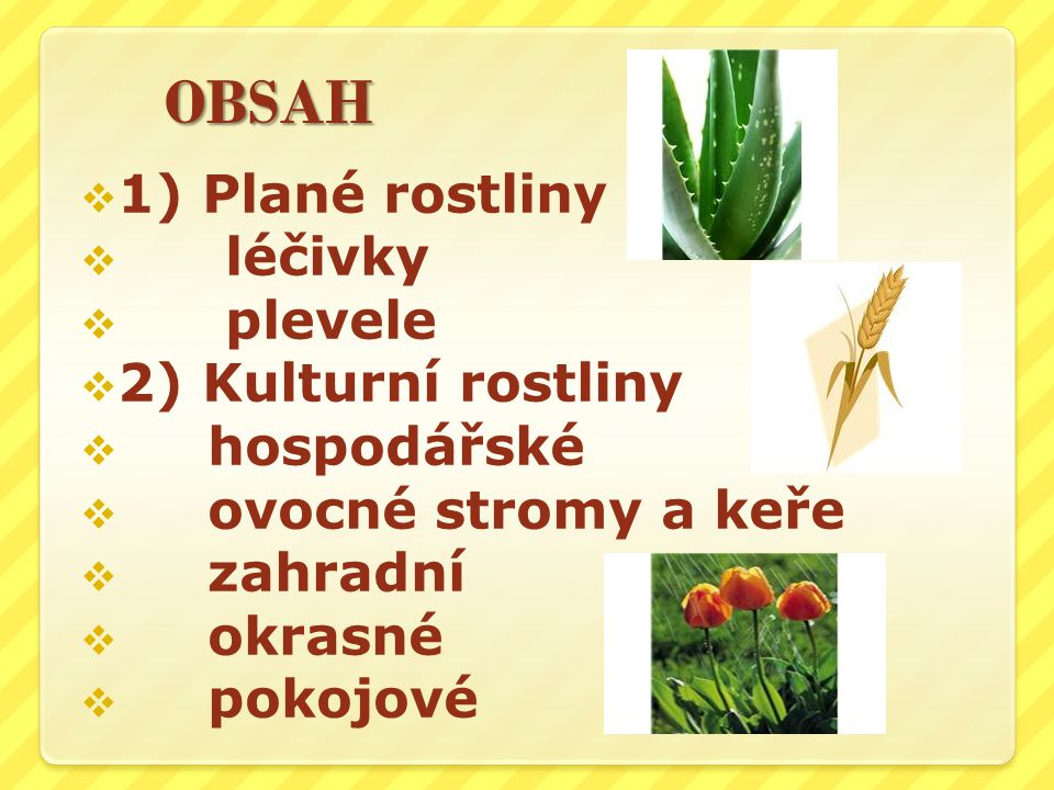 1) Plané rostliny léčivky plevele 2) Kulturní rostliny hospodářské