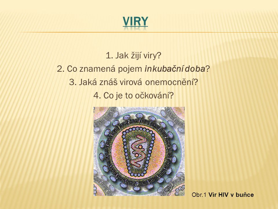 Viry 1. Jak žijí viry 2. Co znamená pojem inkubační doba