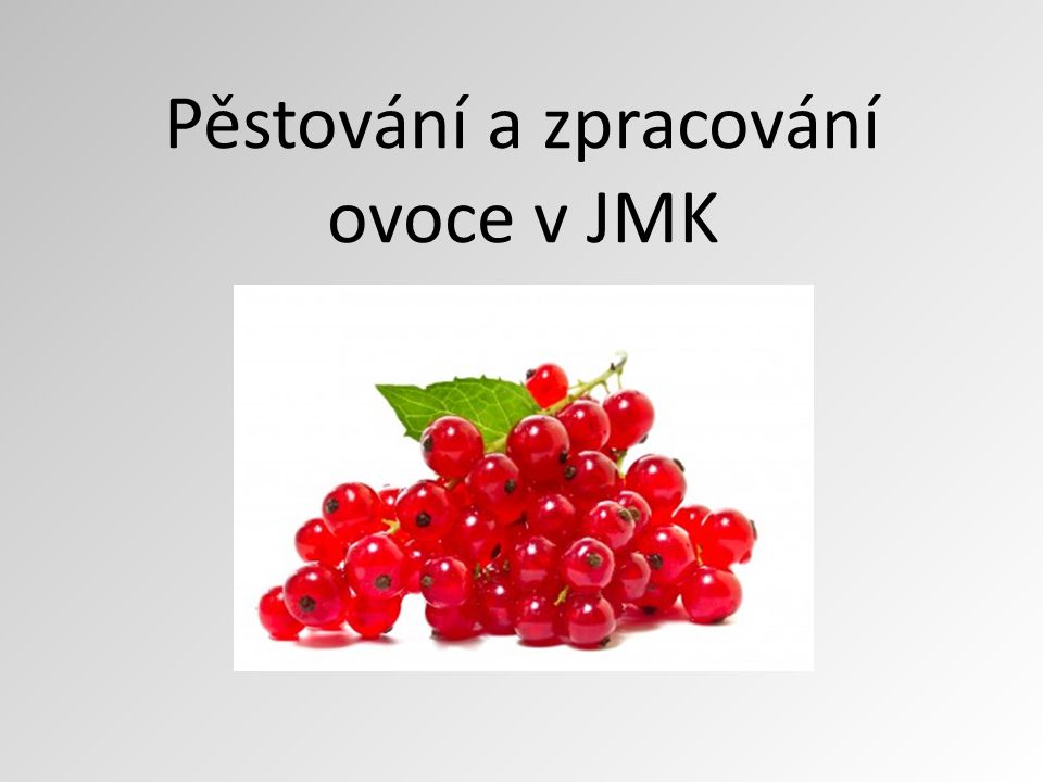 Pěstování a zpracování ovoce v JMK