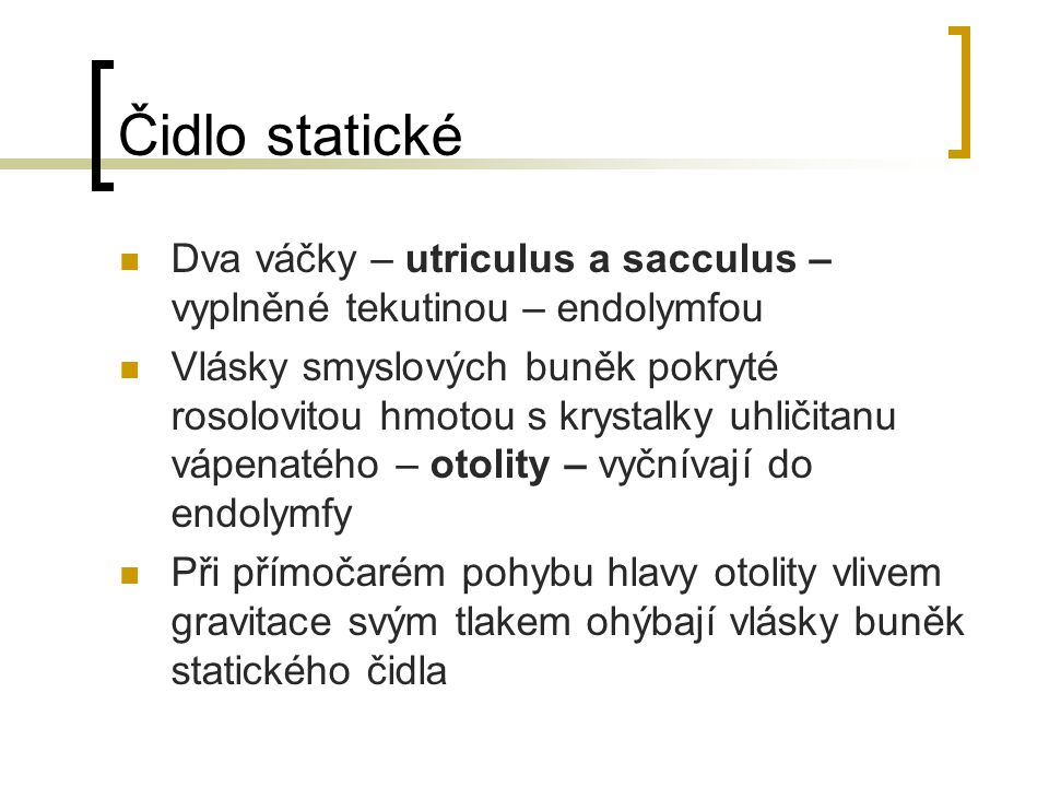 Čidlo statické Dva váčky – utriculus a sacculus – vyplněné tekutinou – endolymfou.