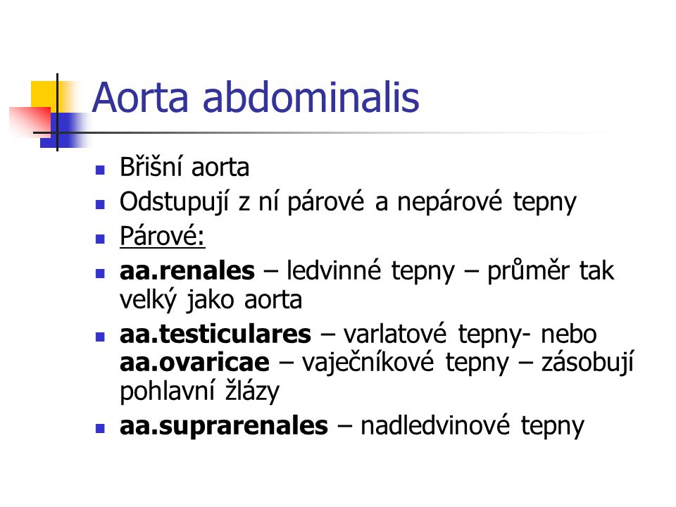 Aorta abdominalis Břišní aorta Odstupují z ní párové a nepárové tepny