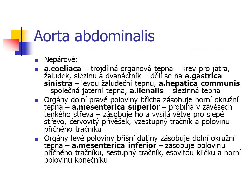 Aorta abdominalis Nepárové: