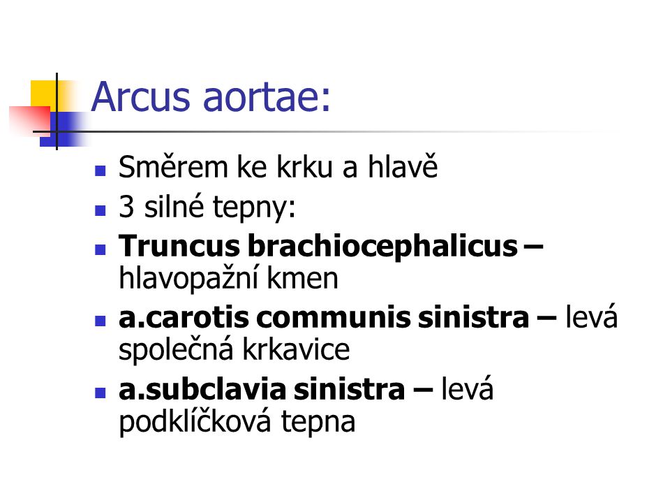 Arcus aortae: Směrem ke krku a hlavě 3 silné tepny: