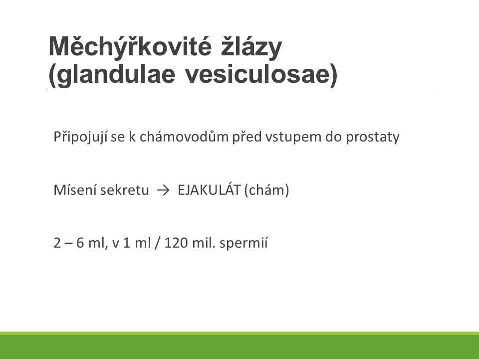 Měchýřkovité žlázy (glandulae vesiculosae)