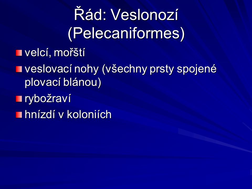 Řád: Veslonozí (Pelecaniformes)