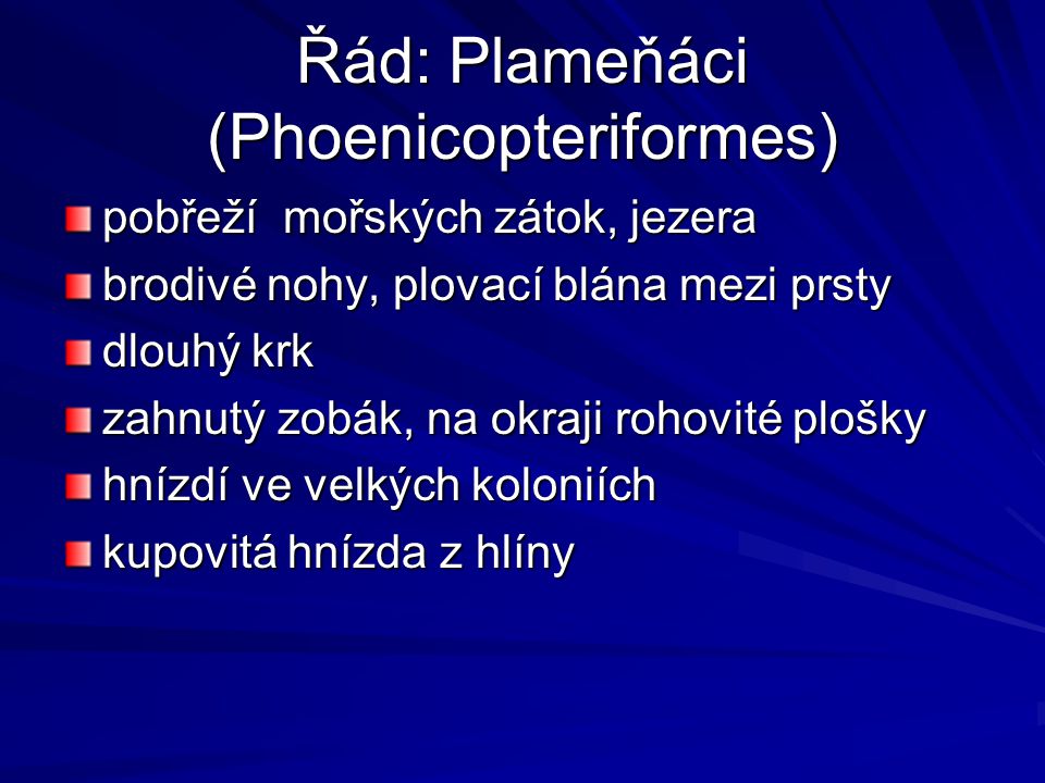 Řád: Plameňáci (Phoenicopteriformes)