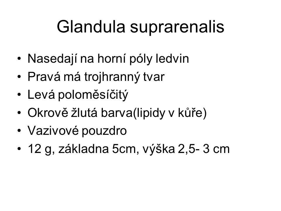 Glandula suprarenalis
