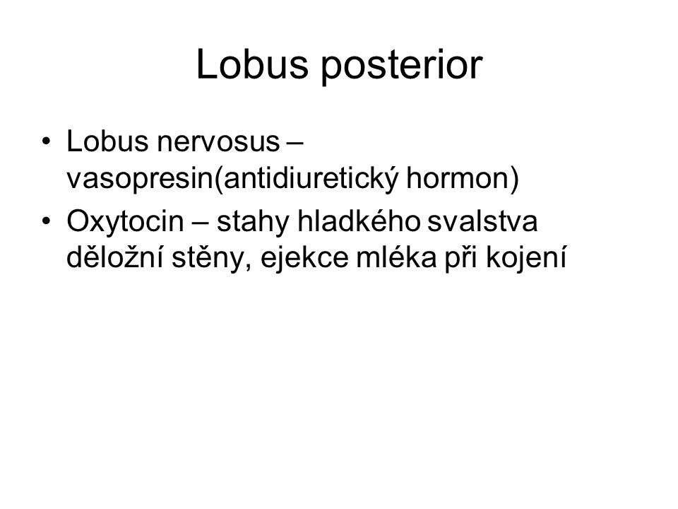 Lobus posterior Lobus nervosus – vasopresin(antidiuretický hormon)