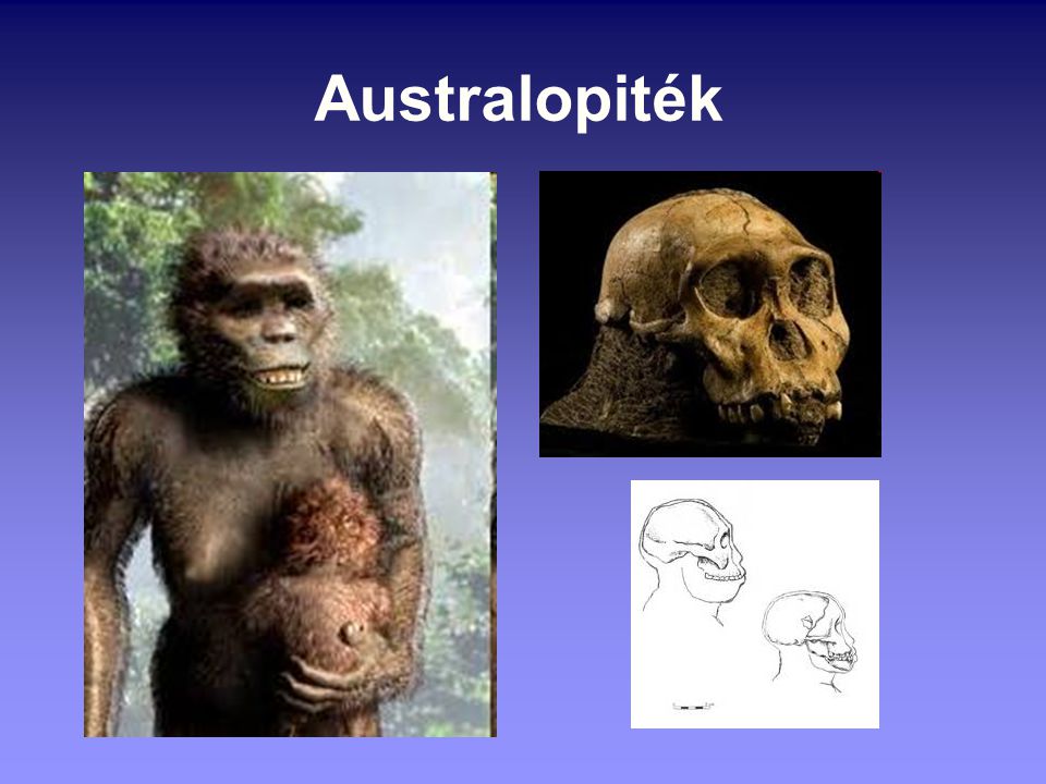 Australopiték