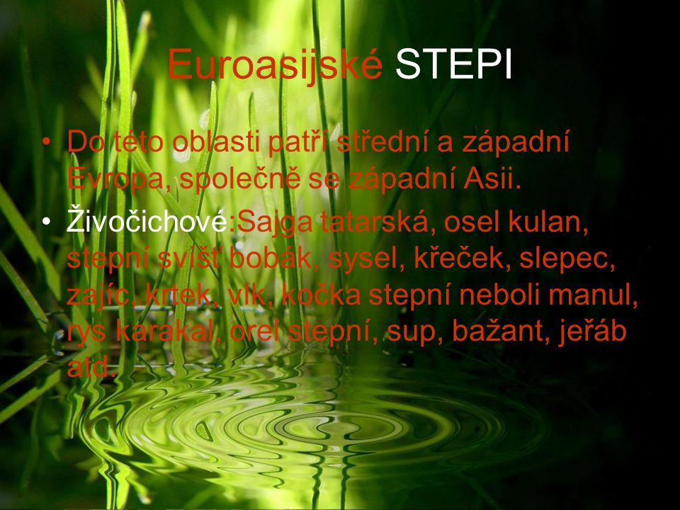 Euroasijské STEPI Do této oblasti patří střední a západní Evropa, společně se západní Asii.