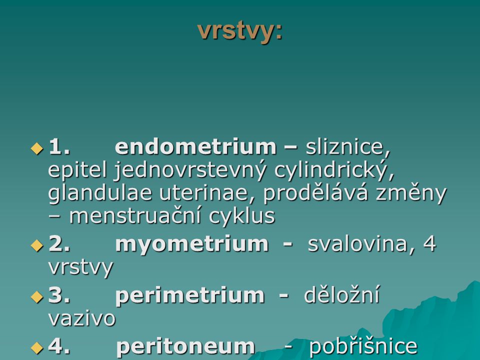 vrstvy: 1. endometrium – sliznice, epitel jednovrstevný cylindrický, glandulae uterinae, prodělává změny – menstruační cyklus.