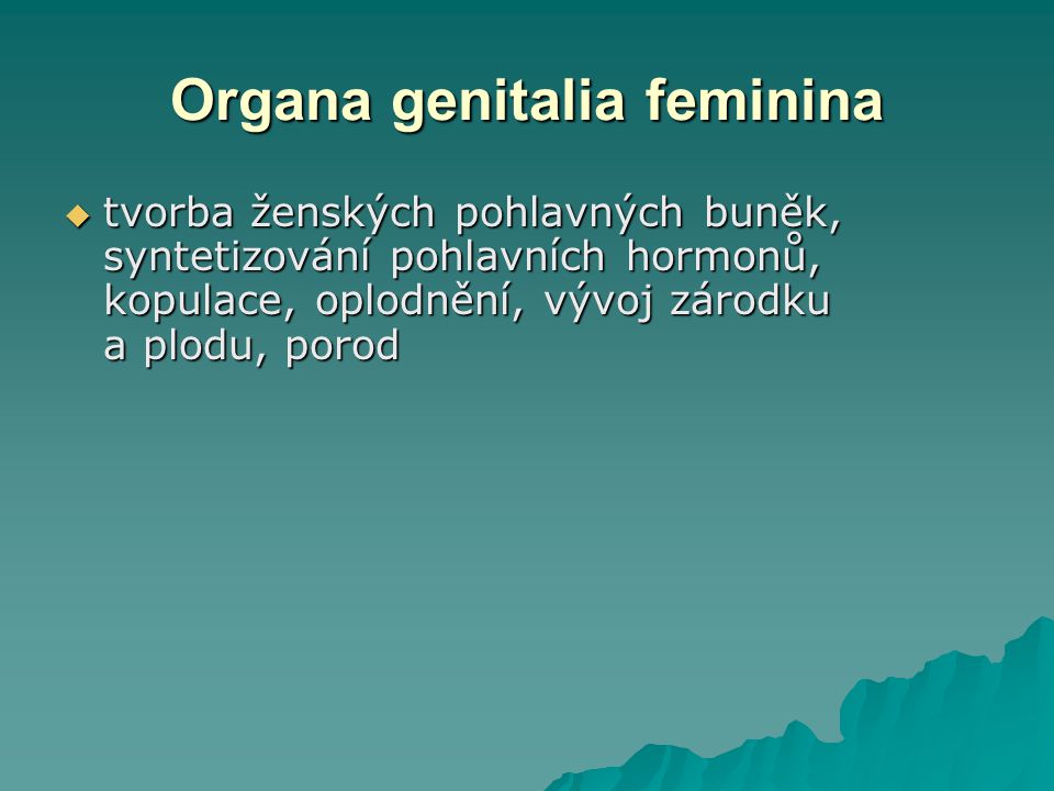Organa genitalia feminina