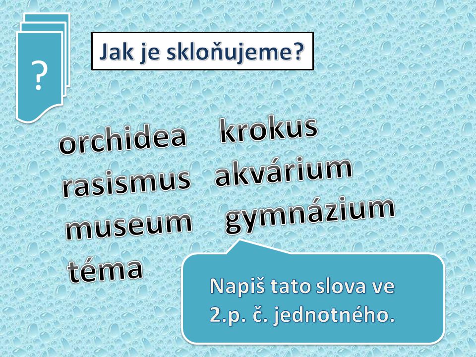 orchidea krokus rasismus akvárium museum gymnázium téma