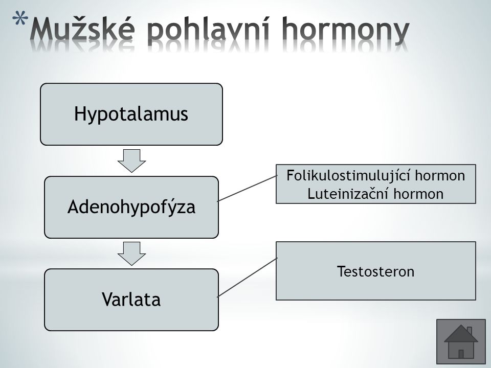 Mužské pohlavní hormony