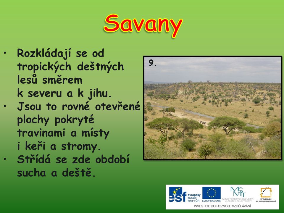 Savany Rozkládají se od tropických deštných lesů směrem k severu a k jihu.