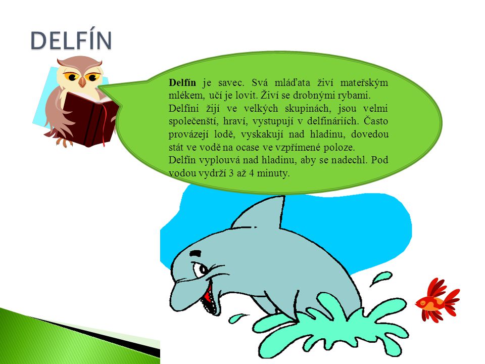 DELFÍN Delfín je savec. Svá mláďata živí mateřským mlékem, učí je lovit. Živí se drobnými rybami.