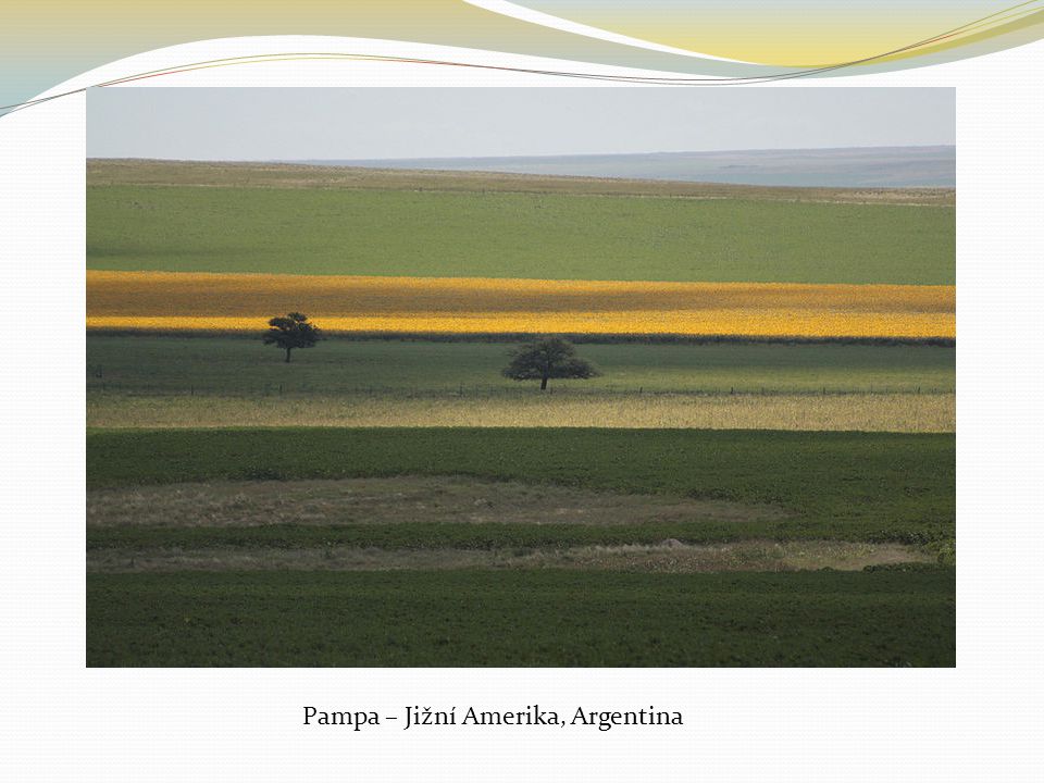 Pampa – Jižní Amerika, Argentina