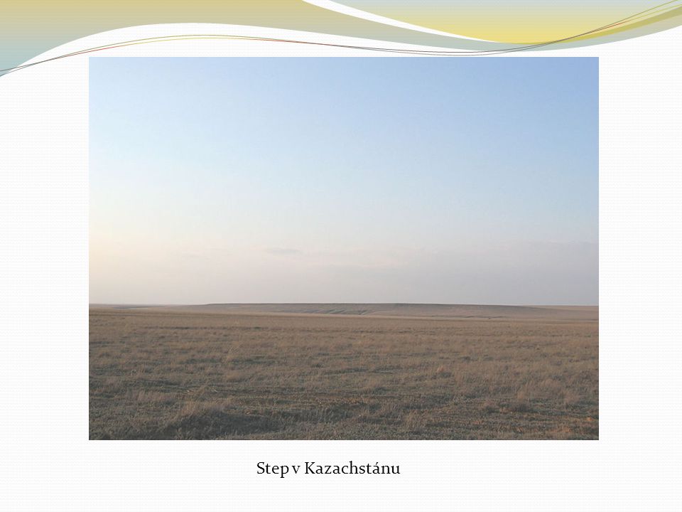 Step v Kazachstánu