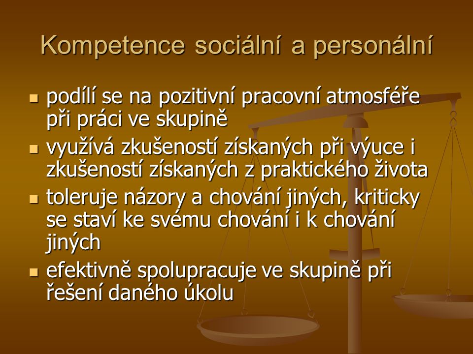 Kompetence sociální a personální