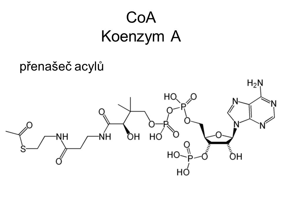 Кофермент атф. Коэнзим а биохимия структура. Ацетилкоэнзим а формула. KOA кофермент витамин. Ацетил КОА структурная формула.