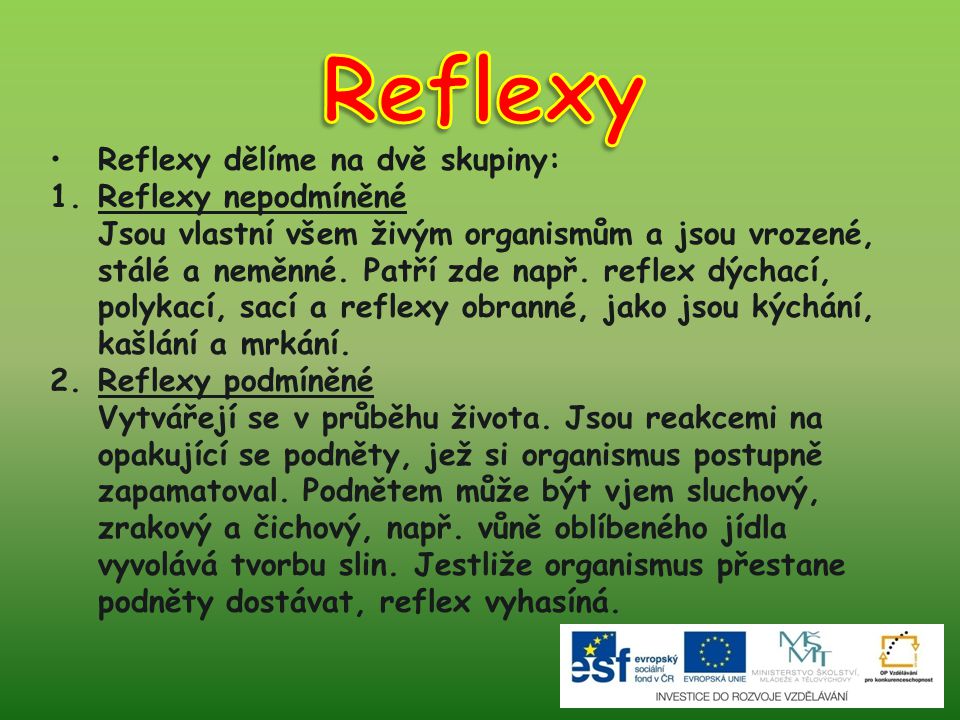 Reflexy Reflexy dělíme na dvě skupiny: