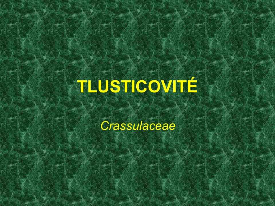 TLUSTICOVITÉ Crassulaceae
