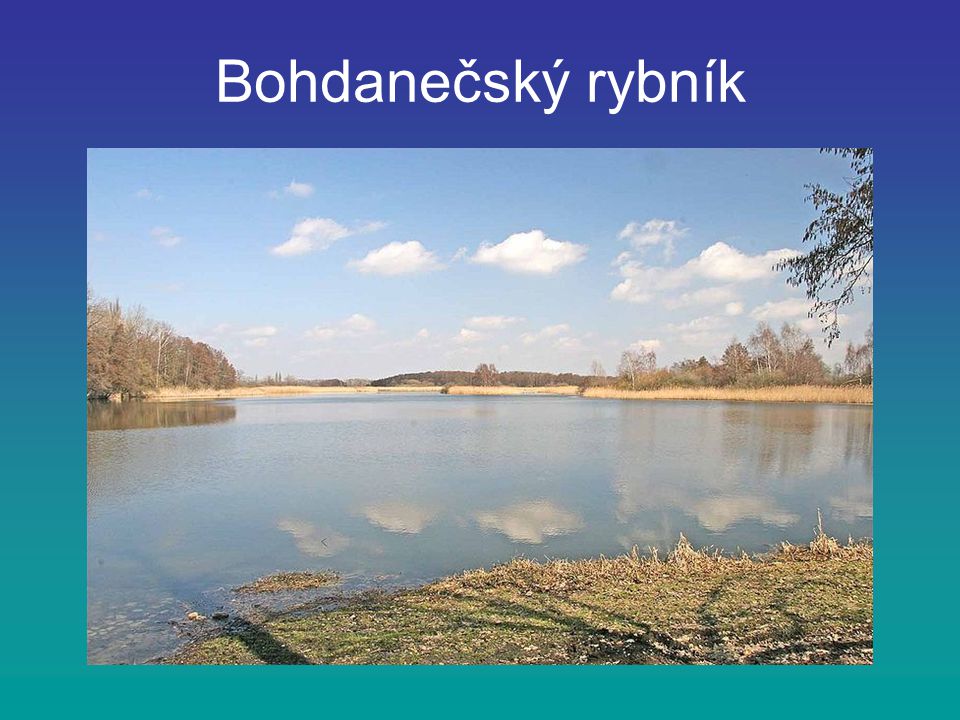 Bohdanečský rybník