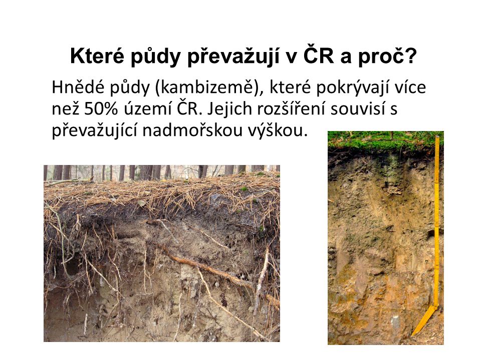 Které půdy převažují v ČR a proč