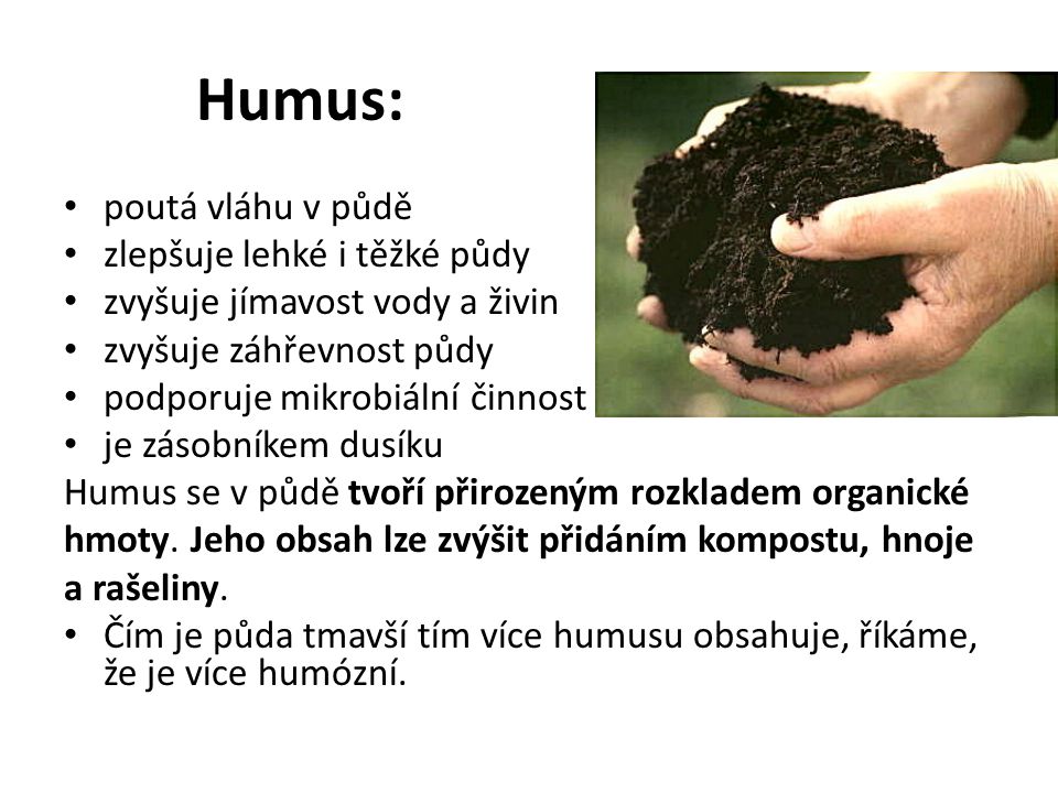 Humus: poutá vláhu v půdě zlepšuje lehké i těžké půdy