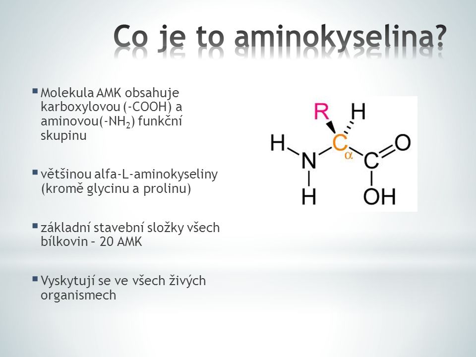 Co to je aminokyselina?