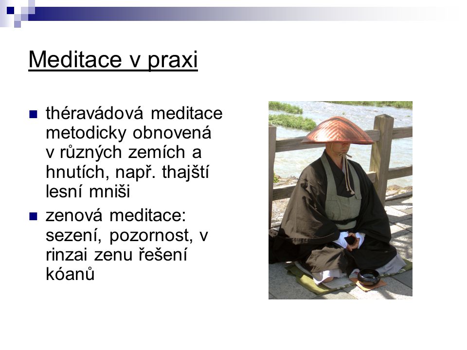 Meditace v praxi théravádová meditace metodicky obnovená v různých zemích a hnutích, např. thajští lesní mniši.