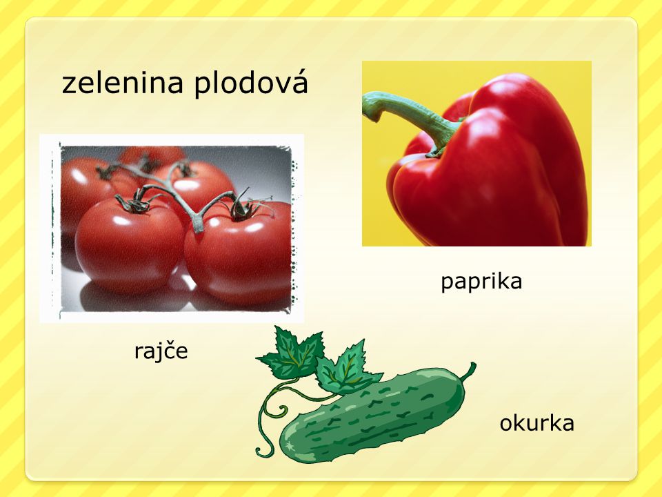 zelenina plodová paprika rajče okurka