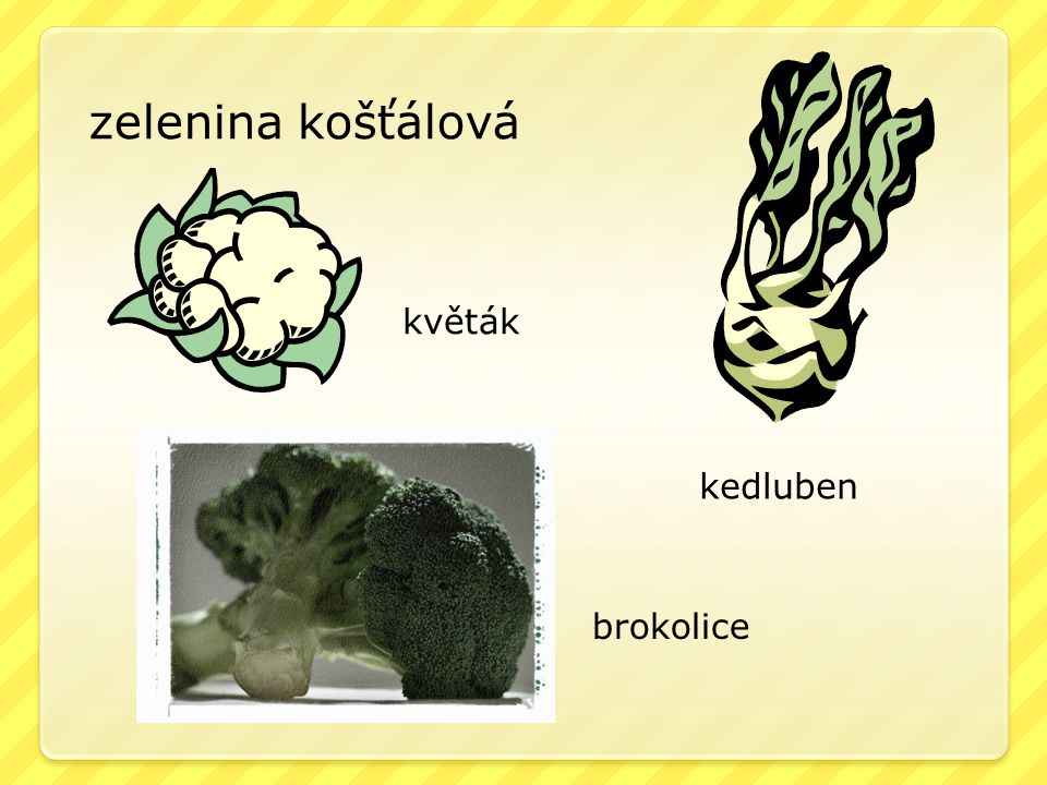 zelenina košťálová květák kedluben brokolice