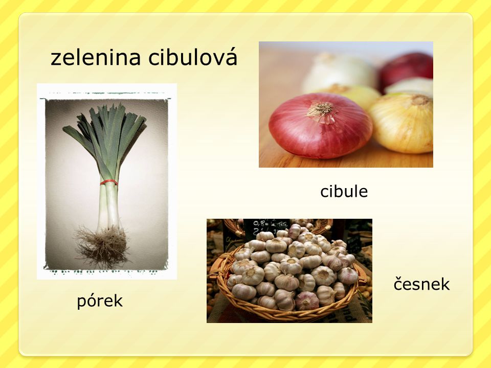 zelenina cibulová cibule česnek pórek