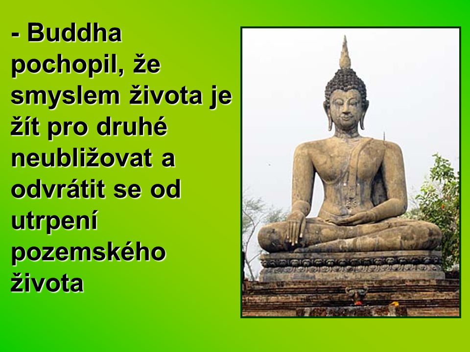 - Buddha pochopil, že smyslem života je žít pro druhé neubližovat a odvrátit se od utrpení pozemského života