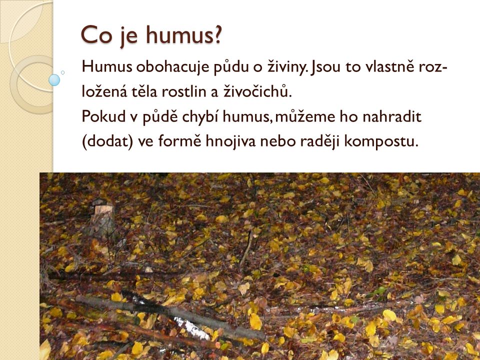 Co je humus Humus obohacuje půdu o živiny. Jsou to vlastně roz-