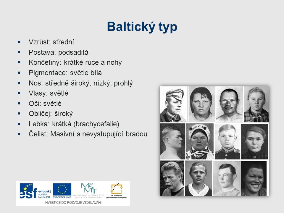 Baltický typ Vzrůst: střední Postava: podsaditá