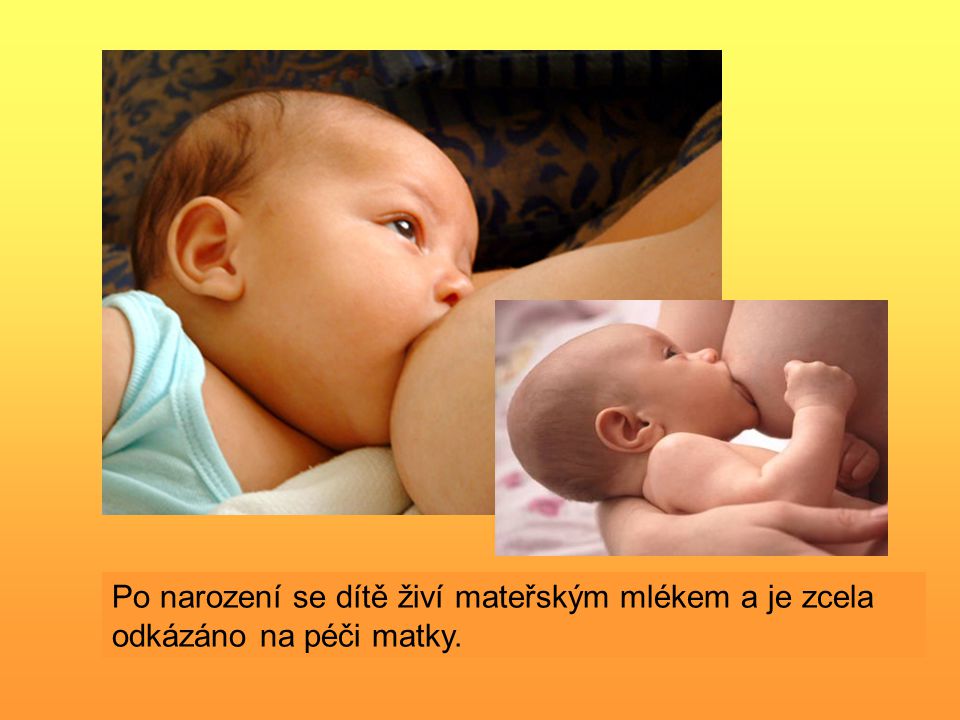 Po narození se dítě živí mateřským mlékem a je zcela odkázáno na péči matky.