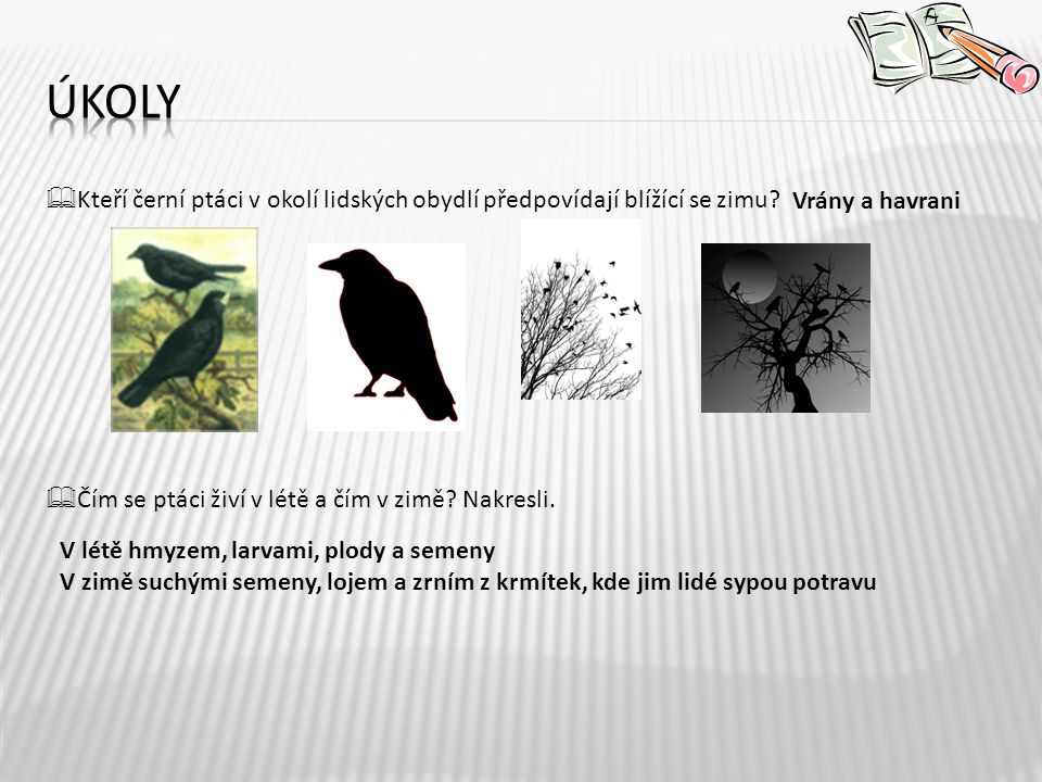 úkoly Kteří černí ptáci v okolí lidských obydlí předpovídají blížící se zimu Čím se ptáci živí v létě a čím v zimě Nakresli.