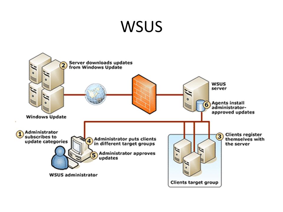 Wsus update. WSUS сервер. WSUS схема. Windows Server update services. Блок схема SCCM.
