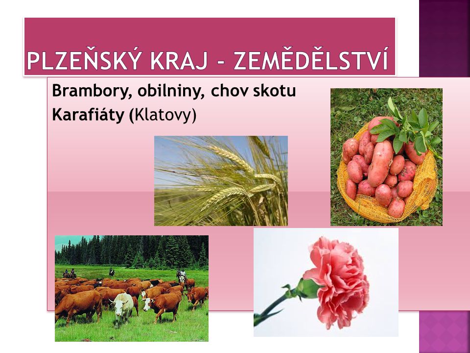 Plzeňský kraj - zemědělství