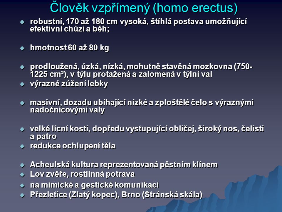 Člověk vzpřímený (homo erectus)