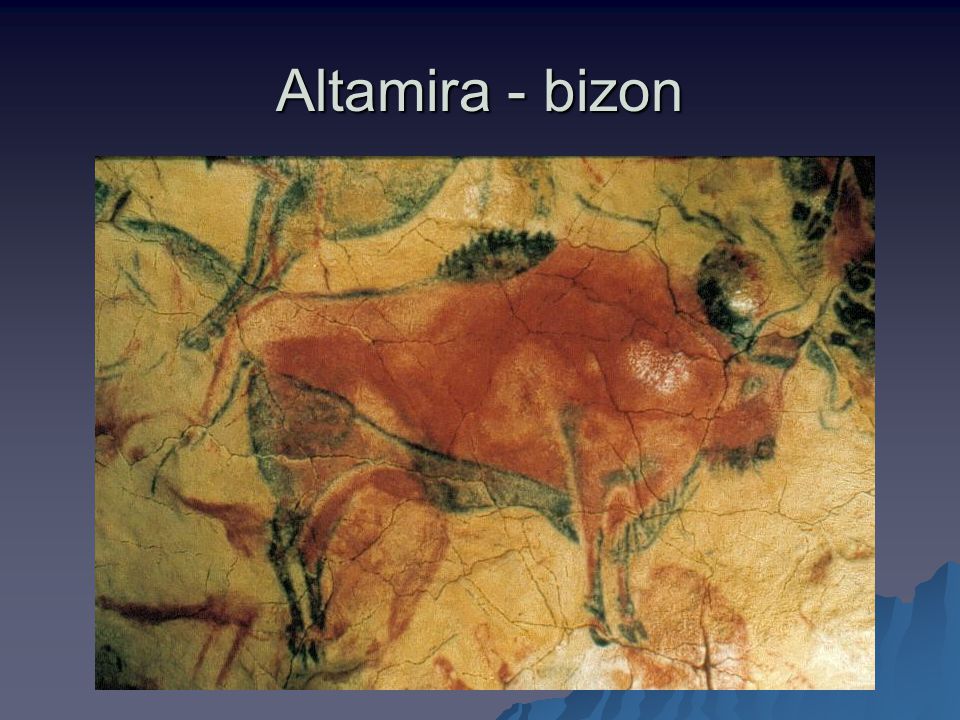 Altamira - bizon