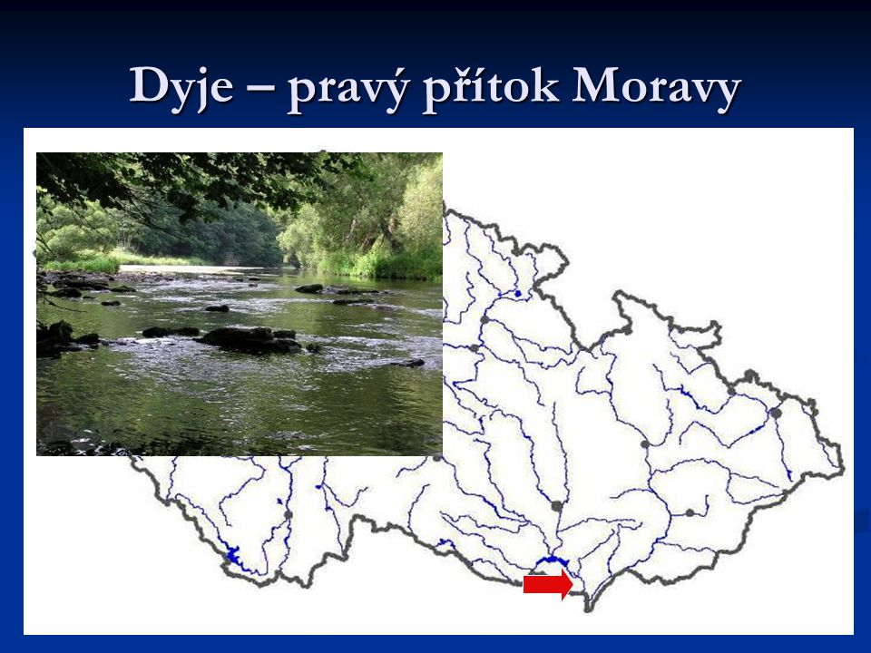 Dyje – pravý přítok Moravy